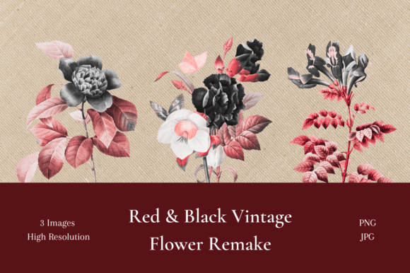 Download Red and Black Vintage Flower Remake - Red Collection