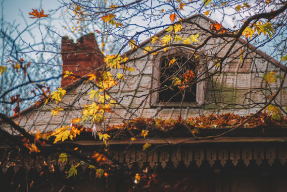 Download Old House Roof and Autumn Leaves - Old Collection